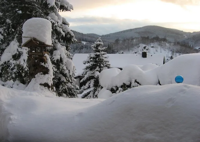 Apartament Schroeder