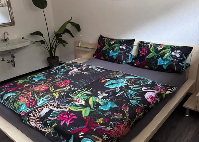 Apartamento Schroeder